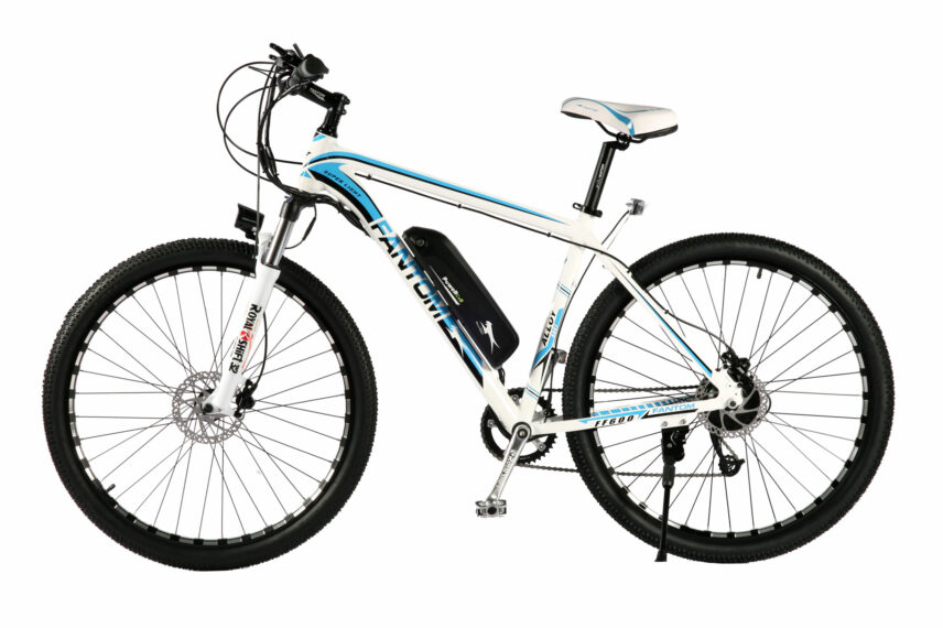 Elektrinis dviratis FANTOM BLUE MOON S29