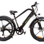 Elektrinis dviratis GREEN POWER CRUISER 500 W